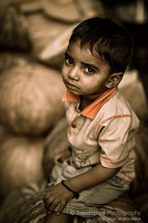 The Pumpkin Merchant's Son