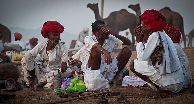 Pushkar Camel Fair