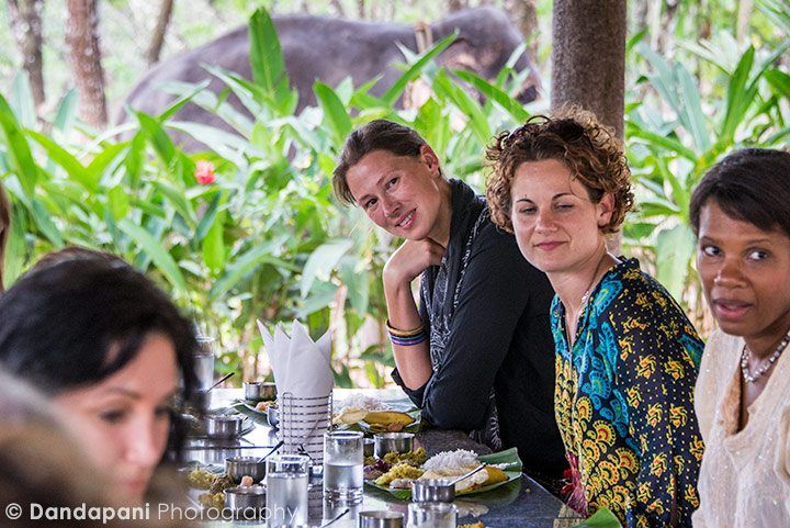 It's not everyday you get to have a delicious meal while being watched over by an elephant.