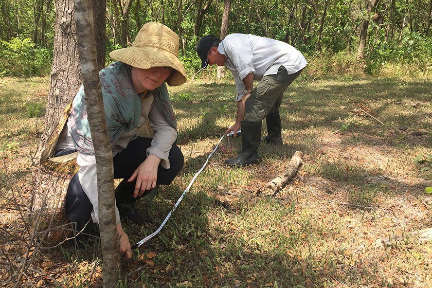 Nick and Tatiana begin some of the early measurement work for the construction of the Ganesha mound.