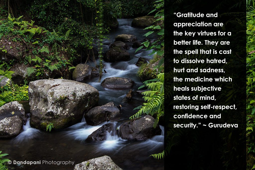 Thoughts on Gratitude and Appreciation