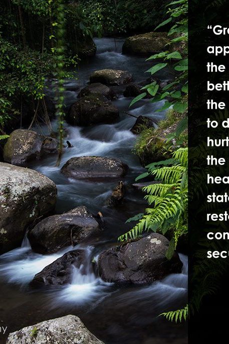 gratitude-thanksgiving-dandapani