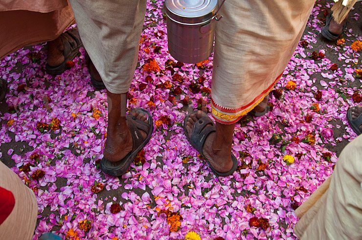 Pushkar Camel Fair 2011