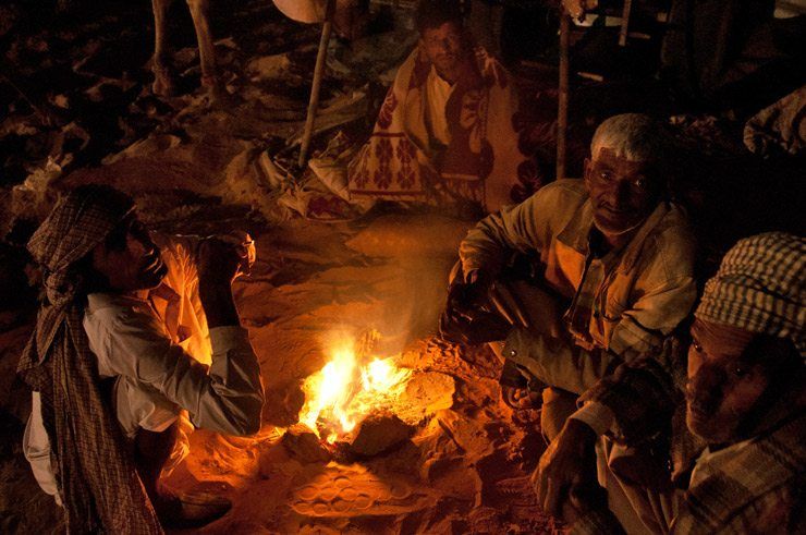 Morning Scene at the Pushkar Camel Fair image