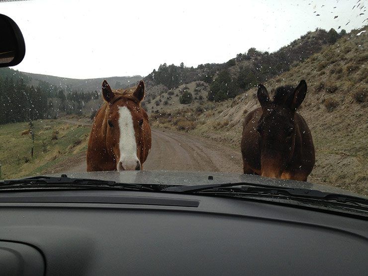 Weekend of Spiritual Workshops in the Vail Valley image