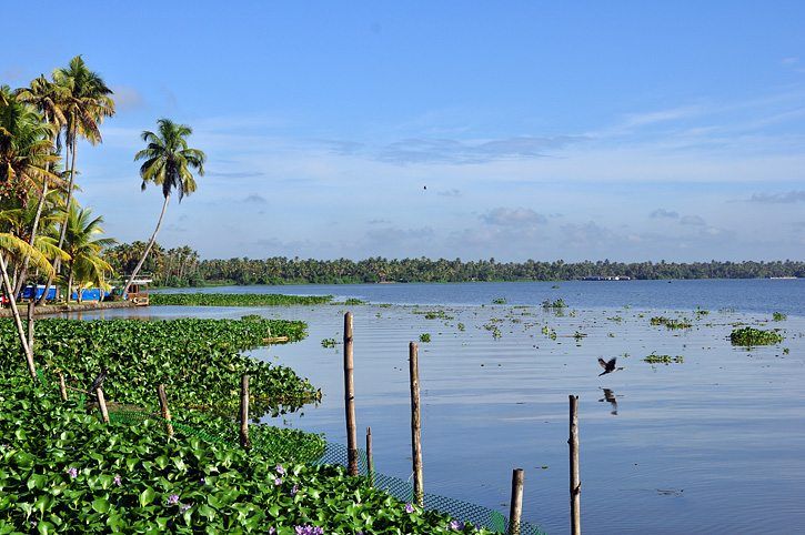 Images from in and around Kochi, Kerala in South India