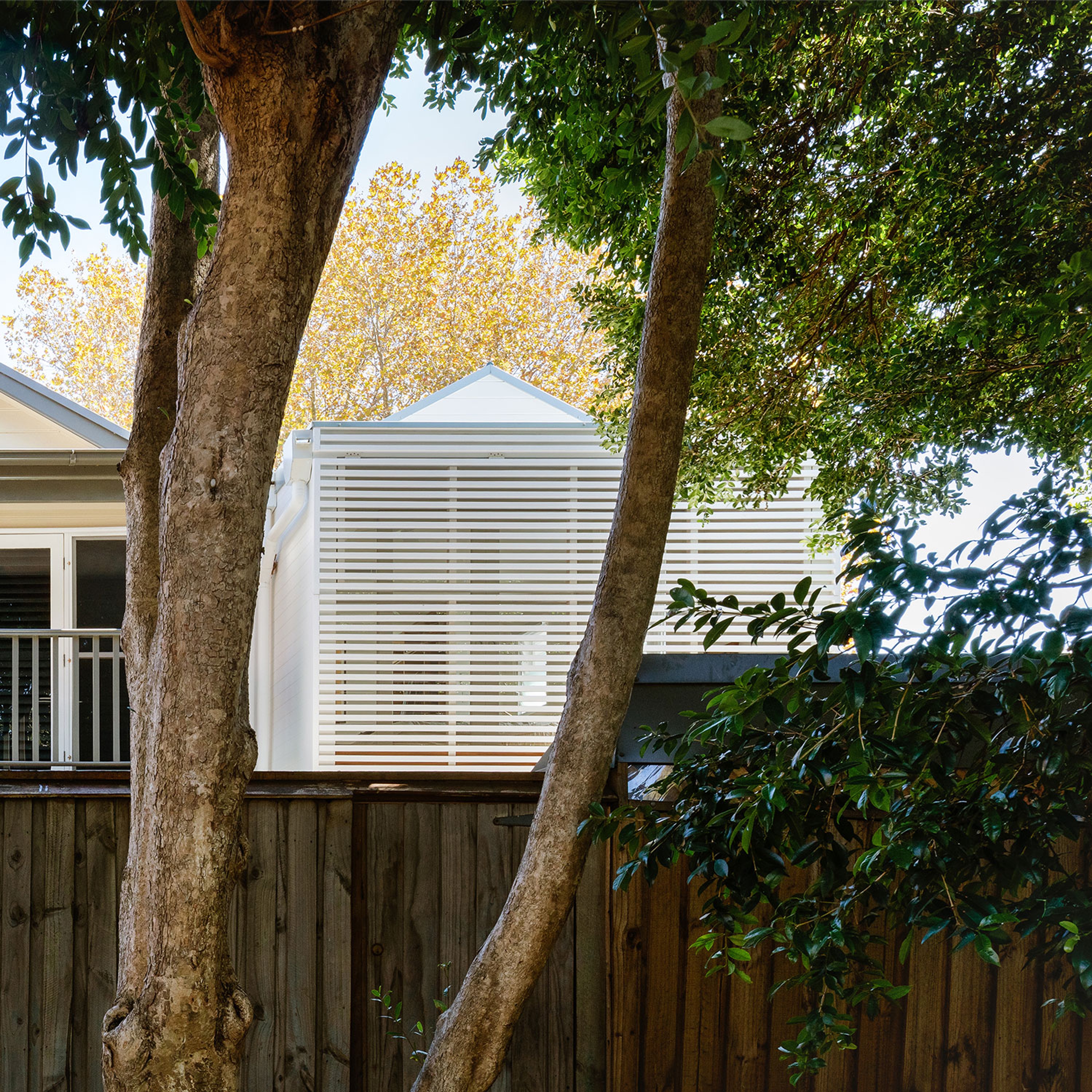 House in Woollahra