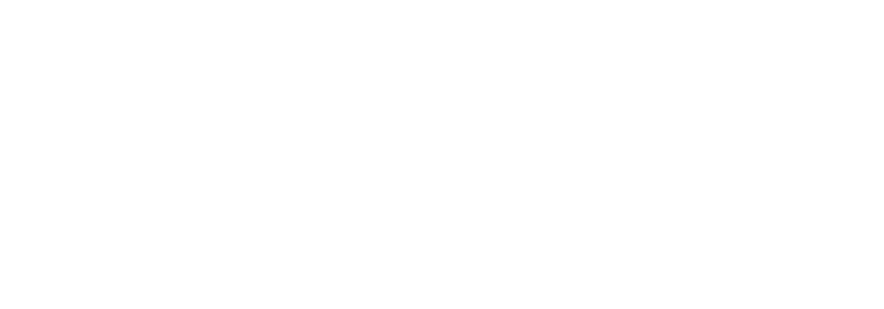 Wolfenstein: Youngblood logo
