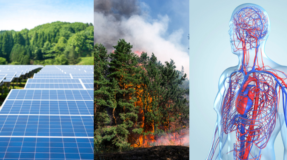 Dreiteiliges Bild: Solaranlage, Waldbrand und menschliches Herz-Kreislauf-System