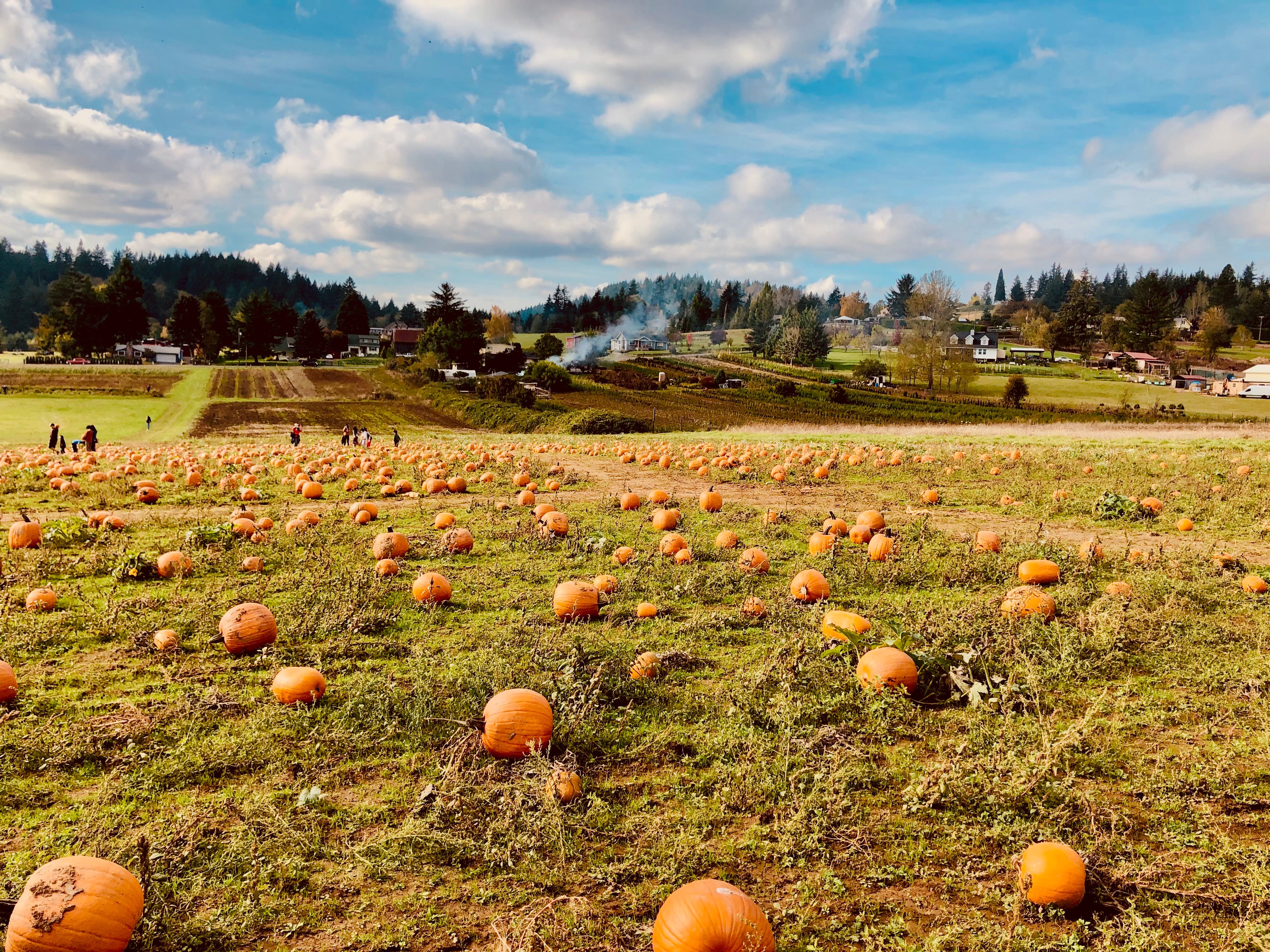 Rock, Paper, Scissors, Lizards, Spock