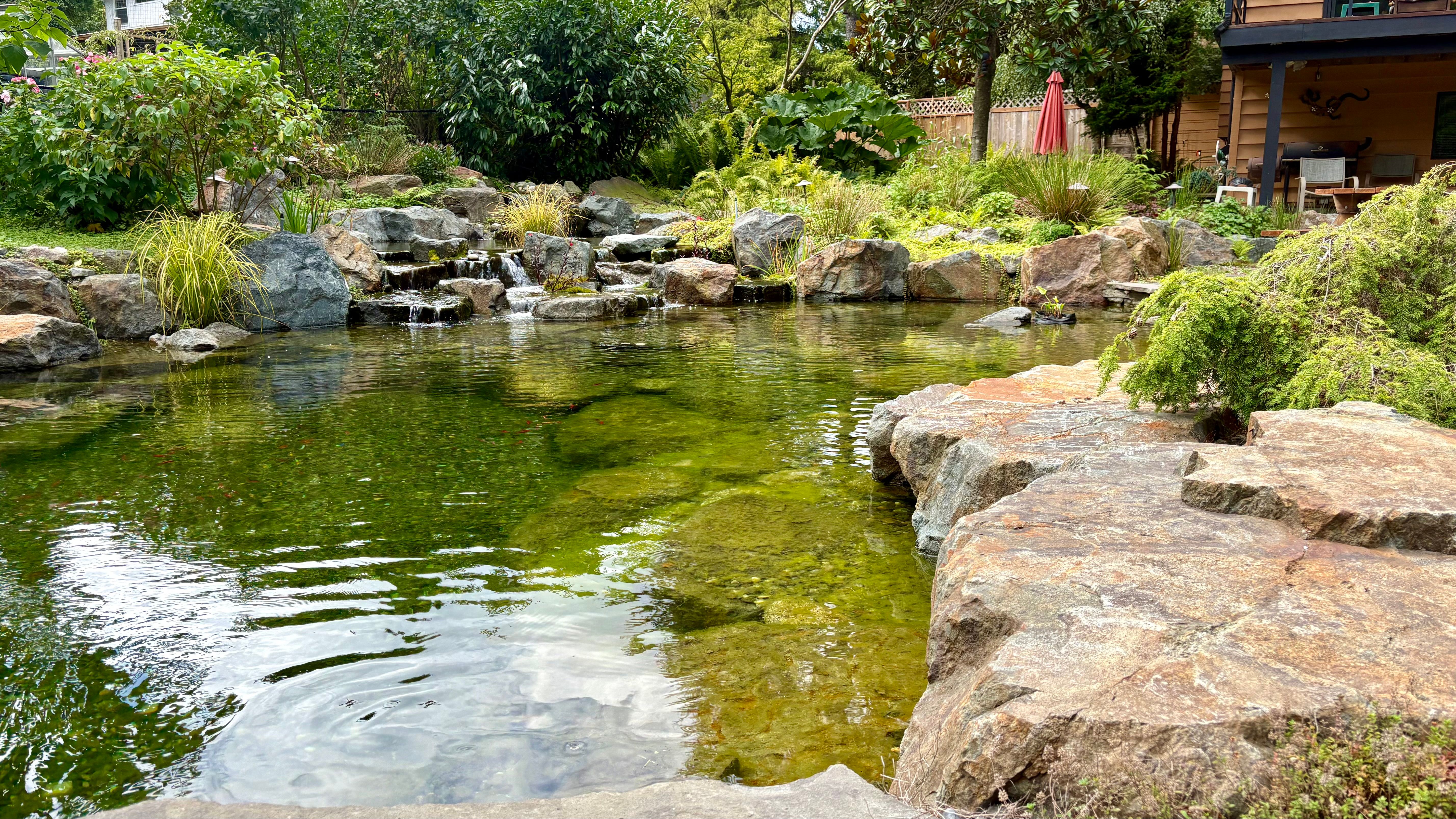Surrey Heights Recreation Swim Pond — photo 5