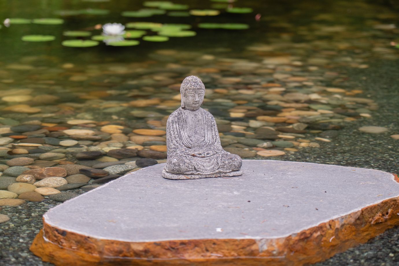 Coast Modern Pond — photo 16