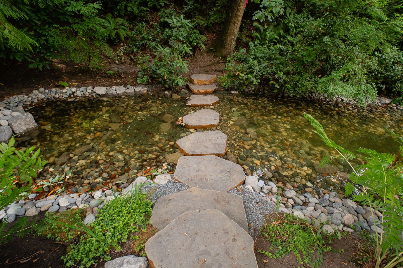 Coast Modern Pond — photo 21