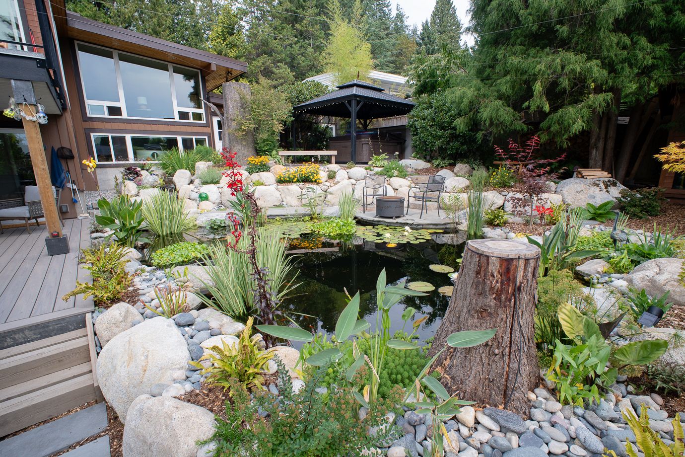 Dollarton Koi Pond — photo 18