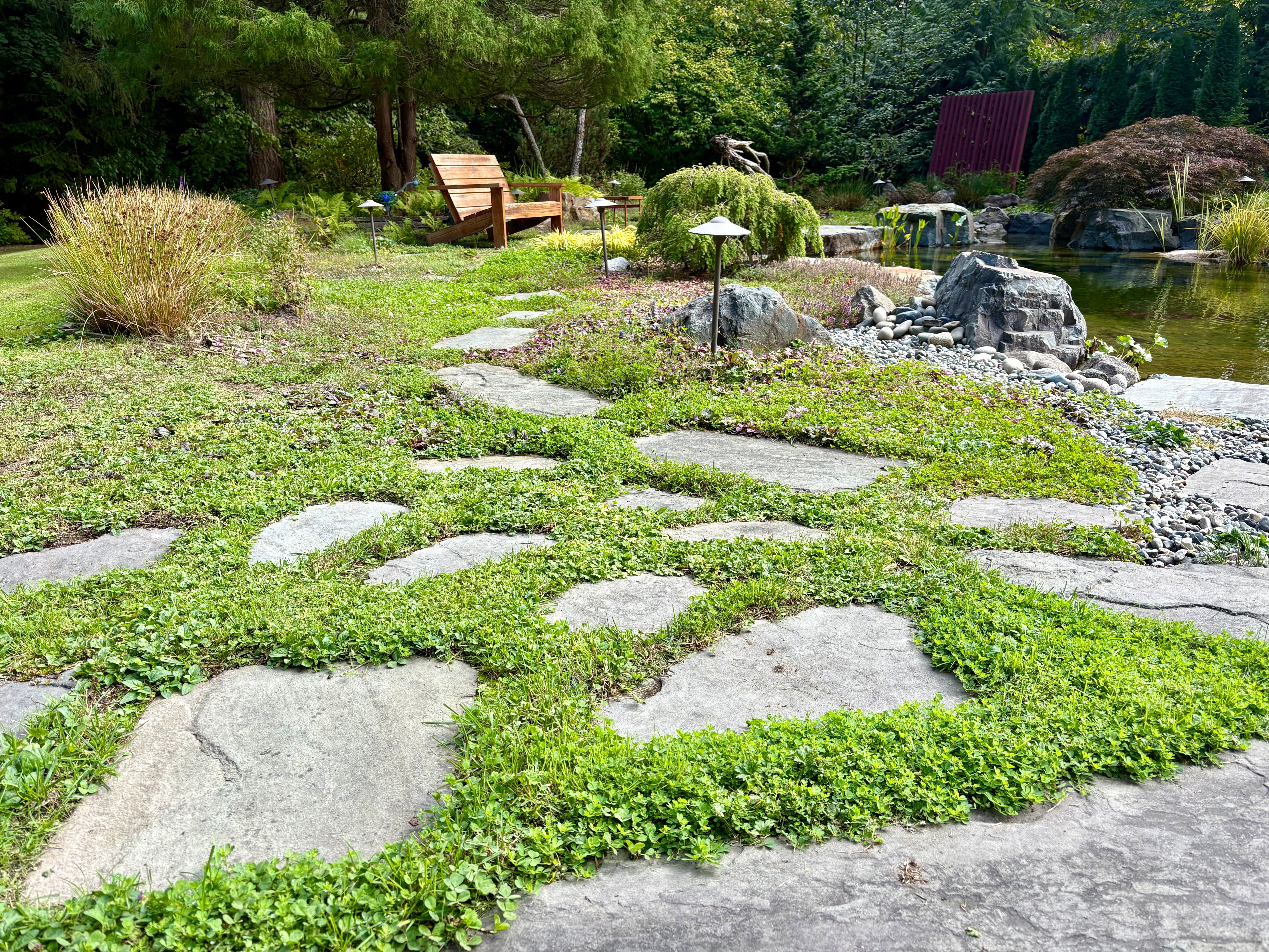Surrey Heights Recreation Swim Pond — photo 6