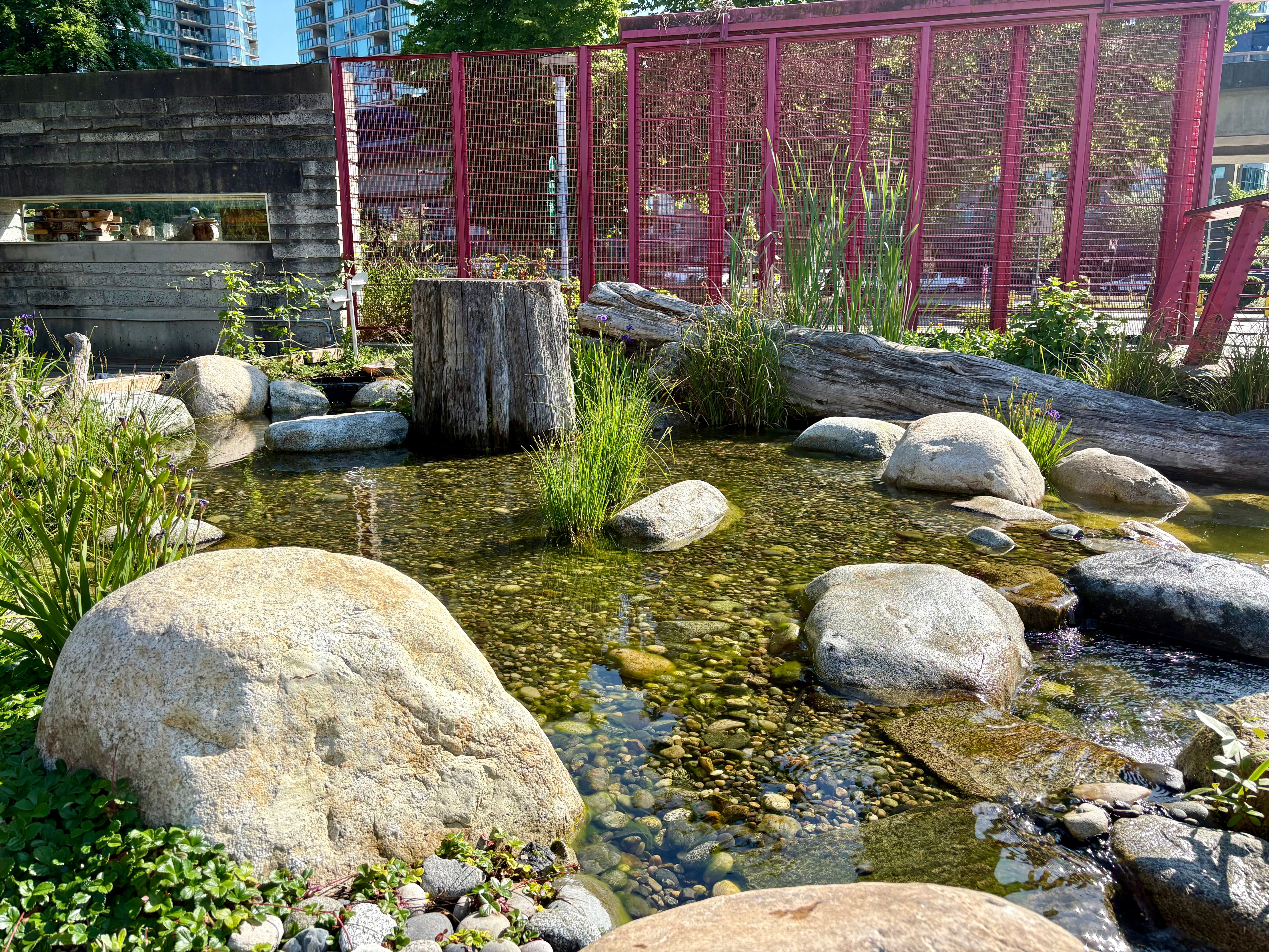 Science World Wetland — photo 4