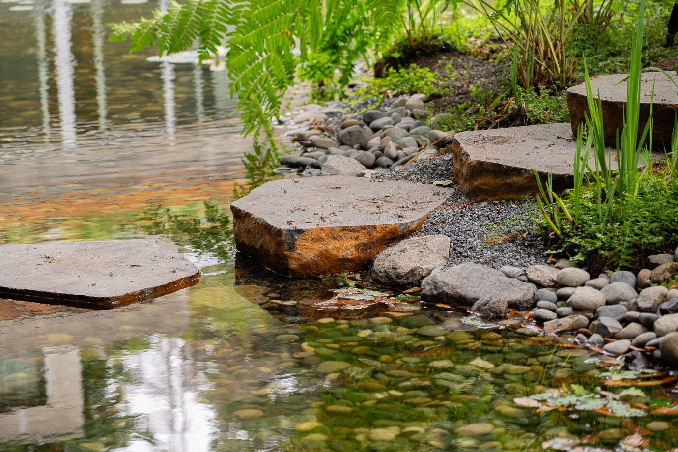 Coast Modern Pond — photo 3