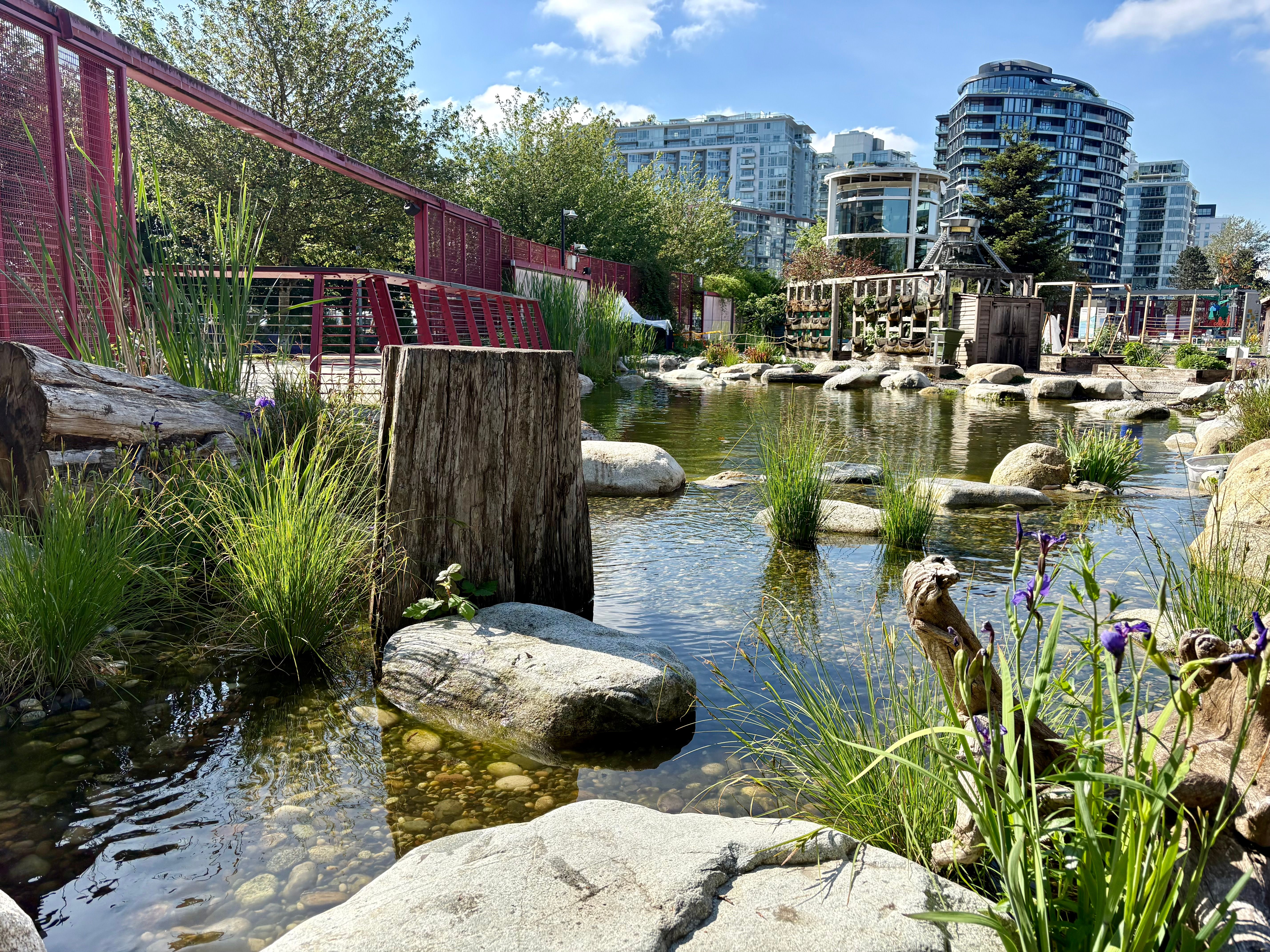 Science World Wetland — photo 1