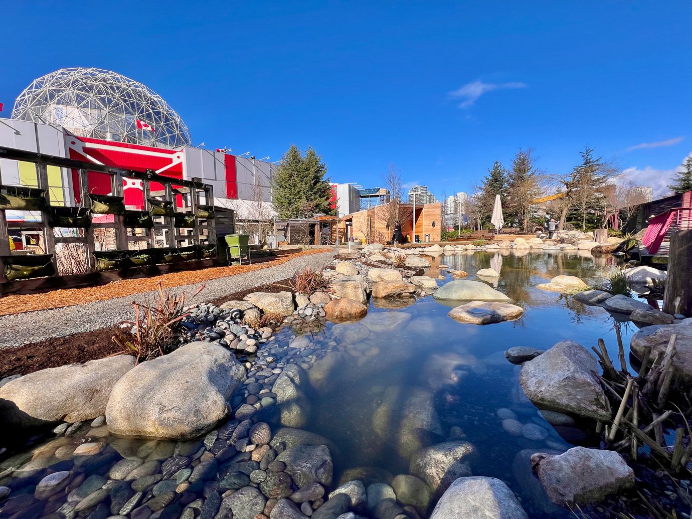 Science World Wetland