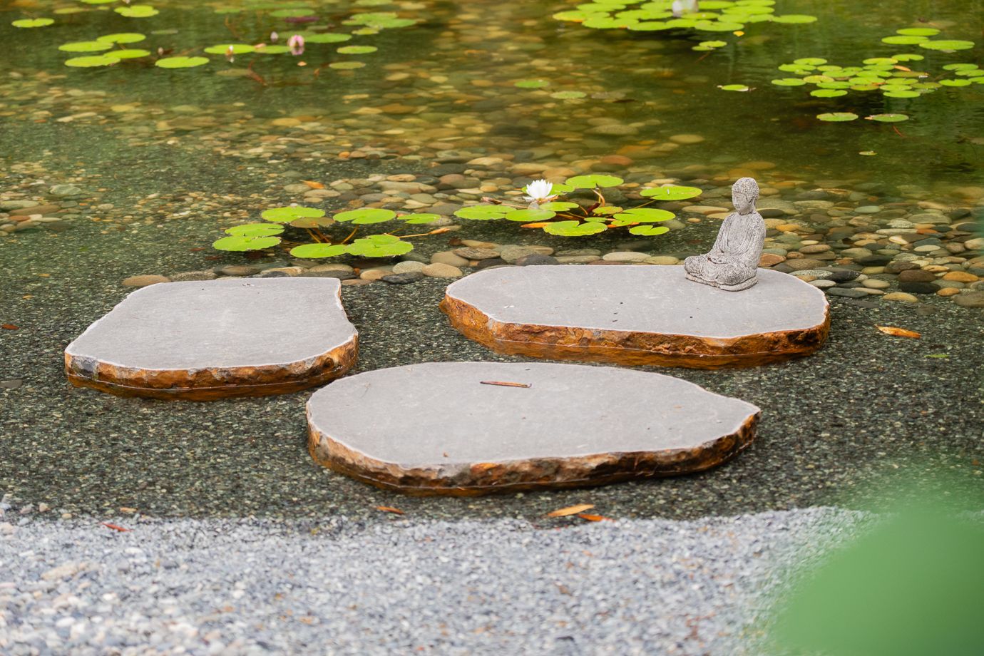 Coast Modern Pond — photo 8