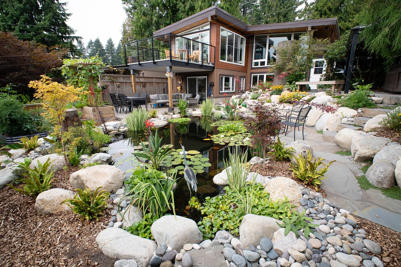 Dollarton Koi Pond — photo 20