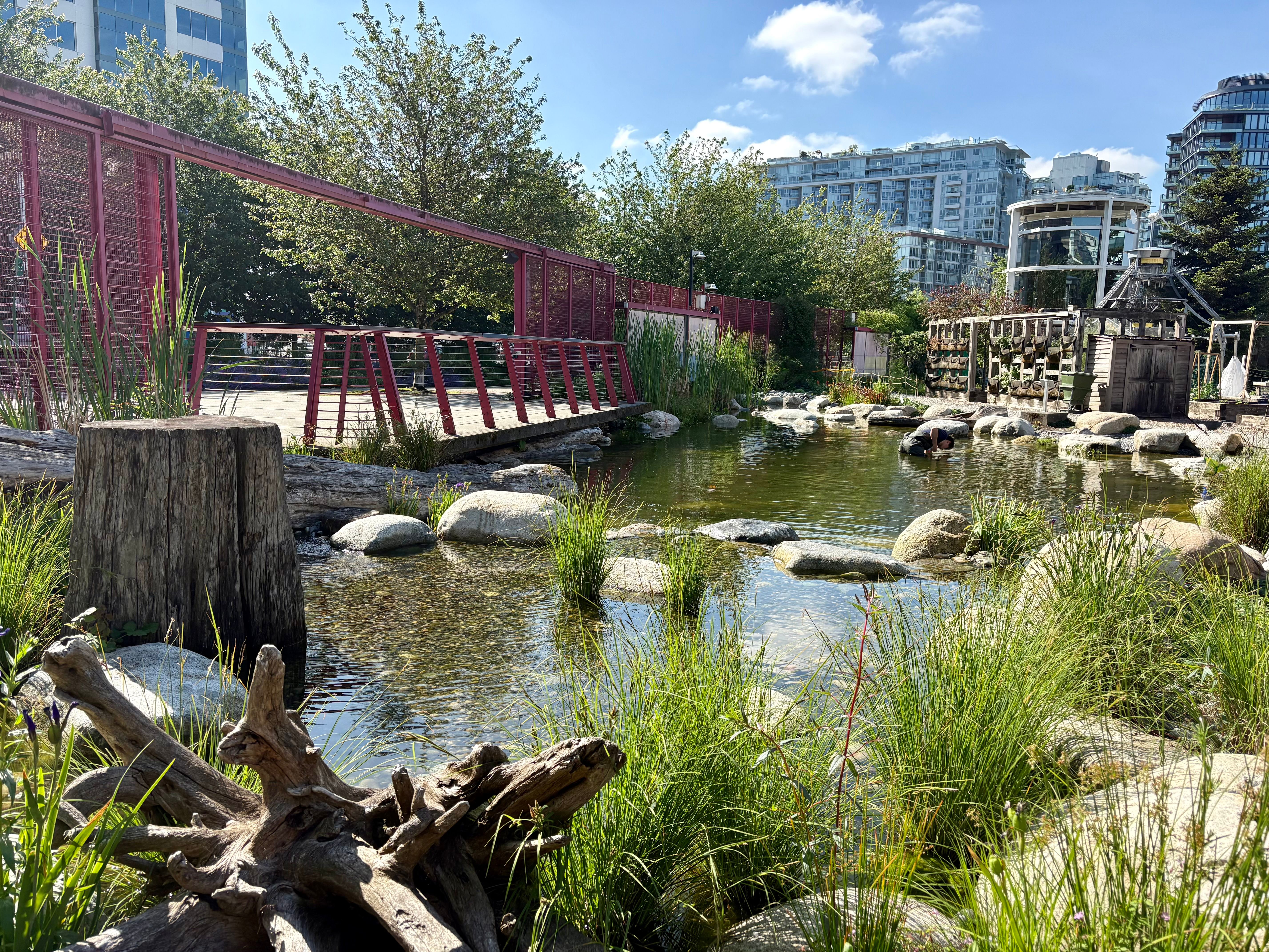 Science World Wetland — photo 2