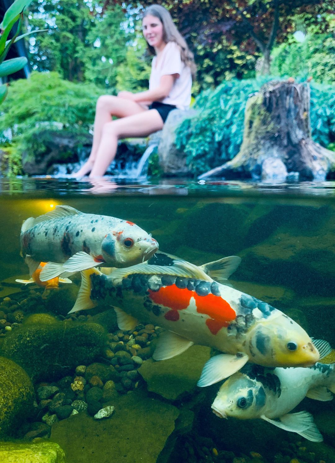 Streamworks Designs Ecosystem Pond