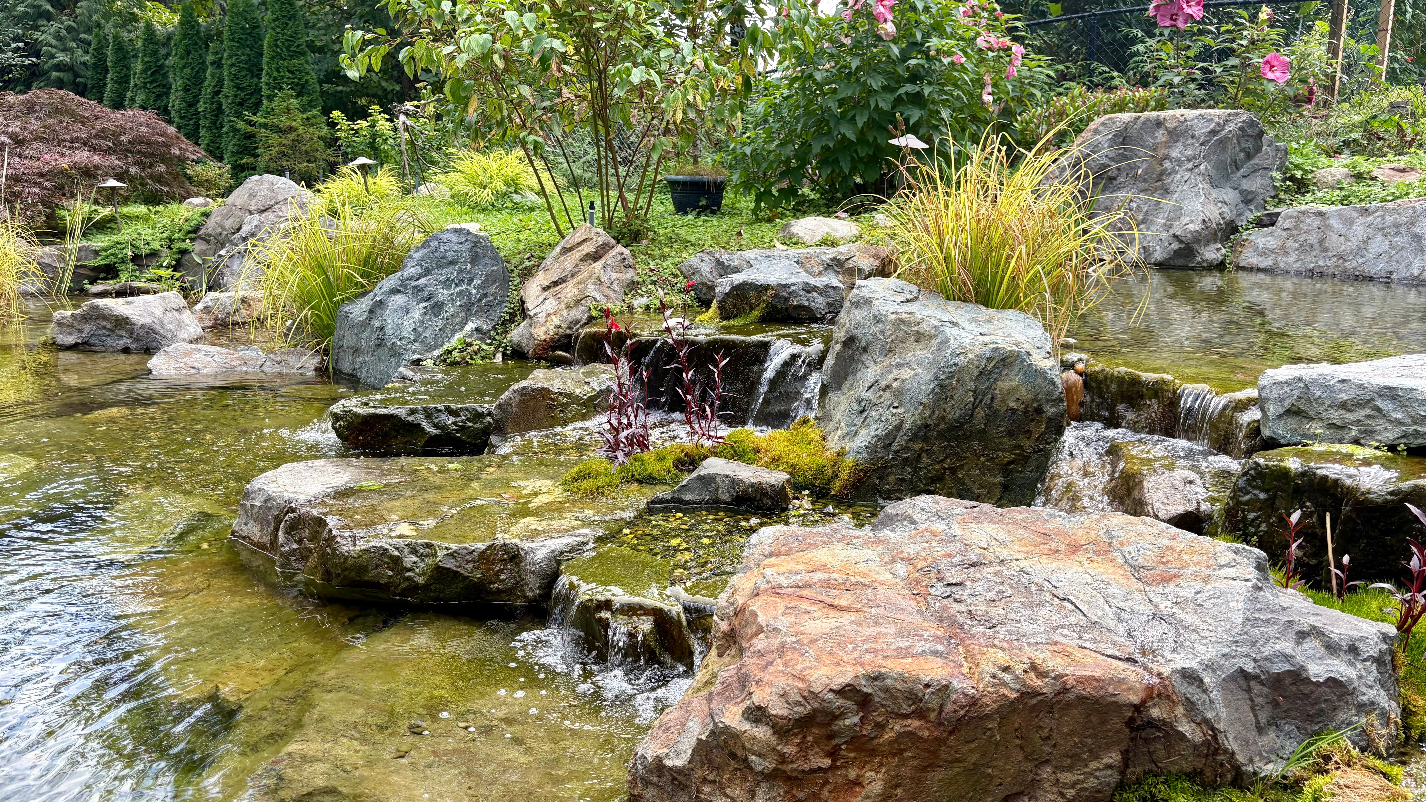 Surrey Heights Recreation Swim Pond — photo 4