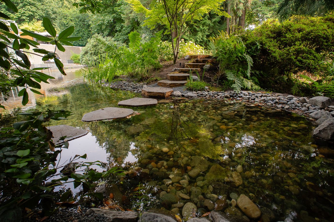 Coast Modern Pond — photo 23