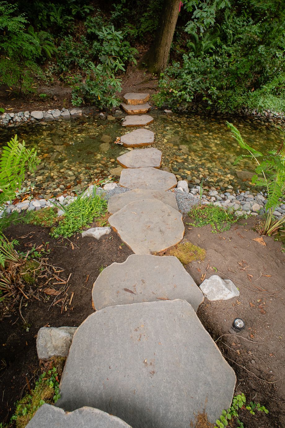 Coast Modern Pond — photo 10