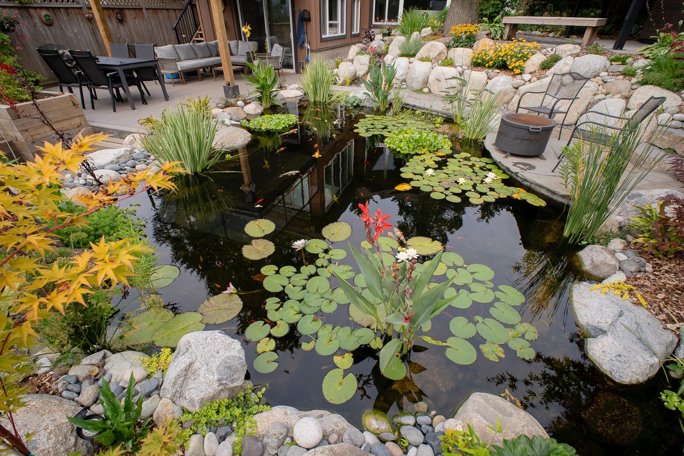 Dollarton Koi Pond — photo 17
