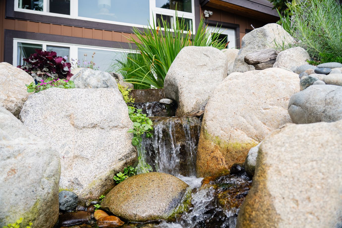 Dollarton Koi Pond — photo 11