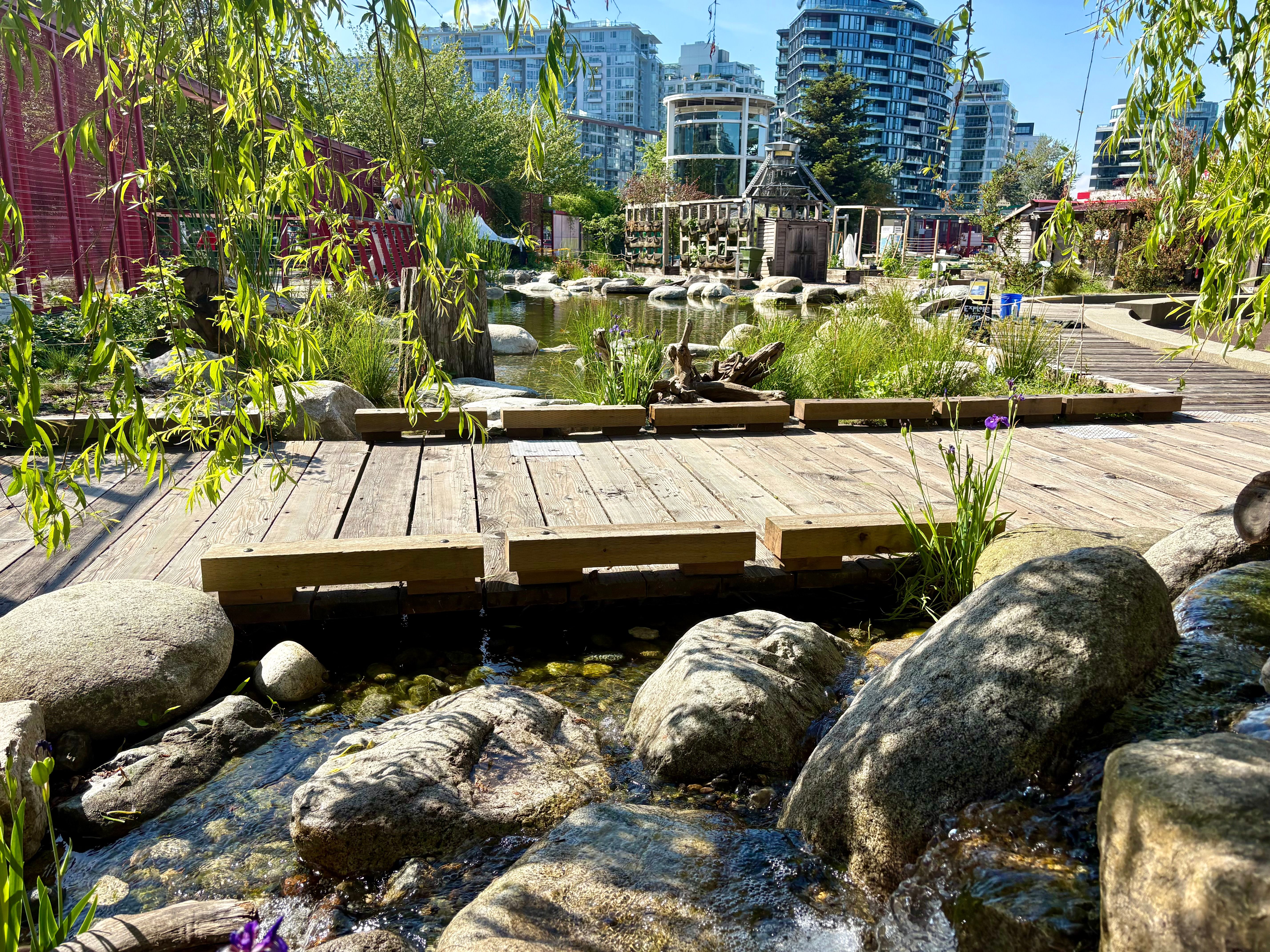 Science World Wetland — photo 3