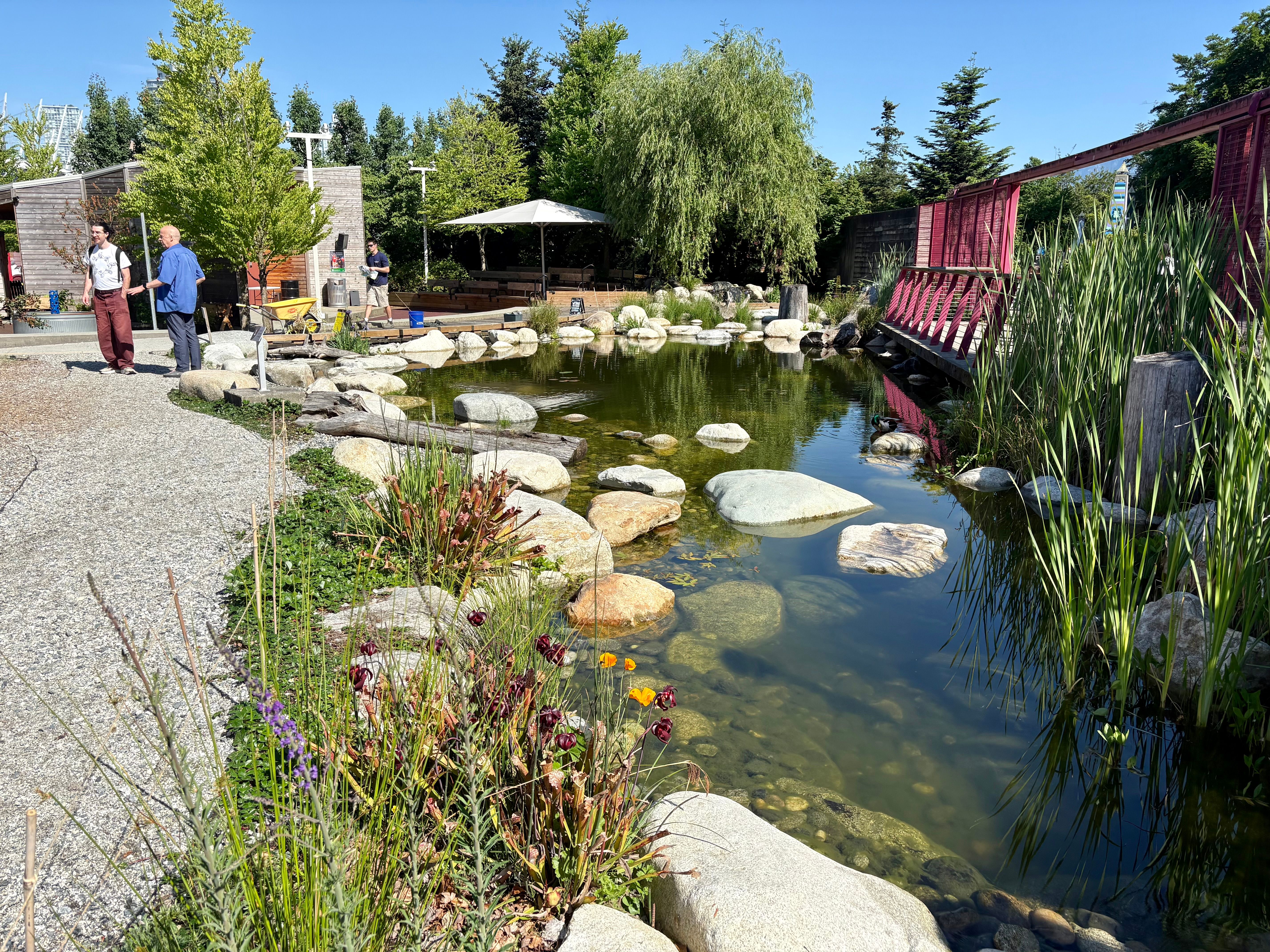 Science World Wetland — photo 5