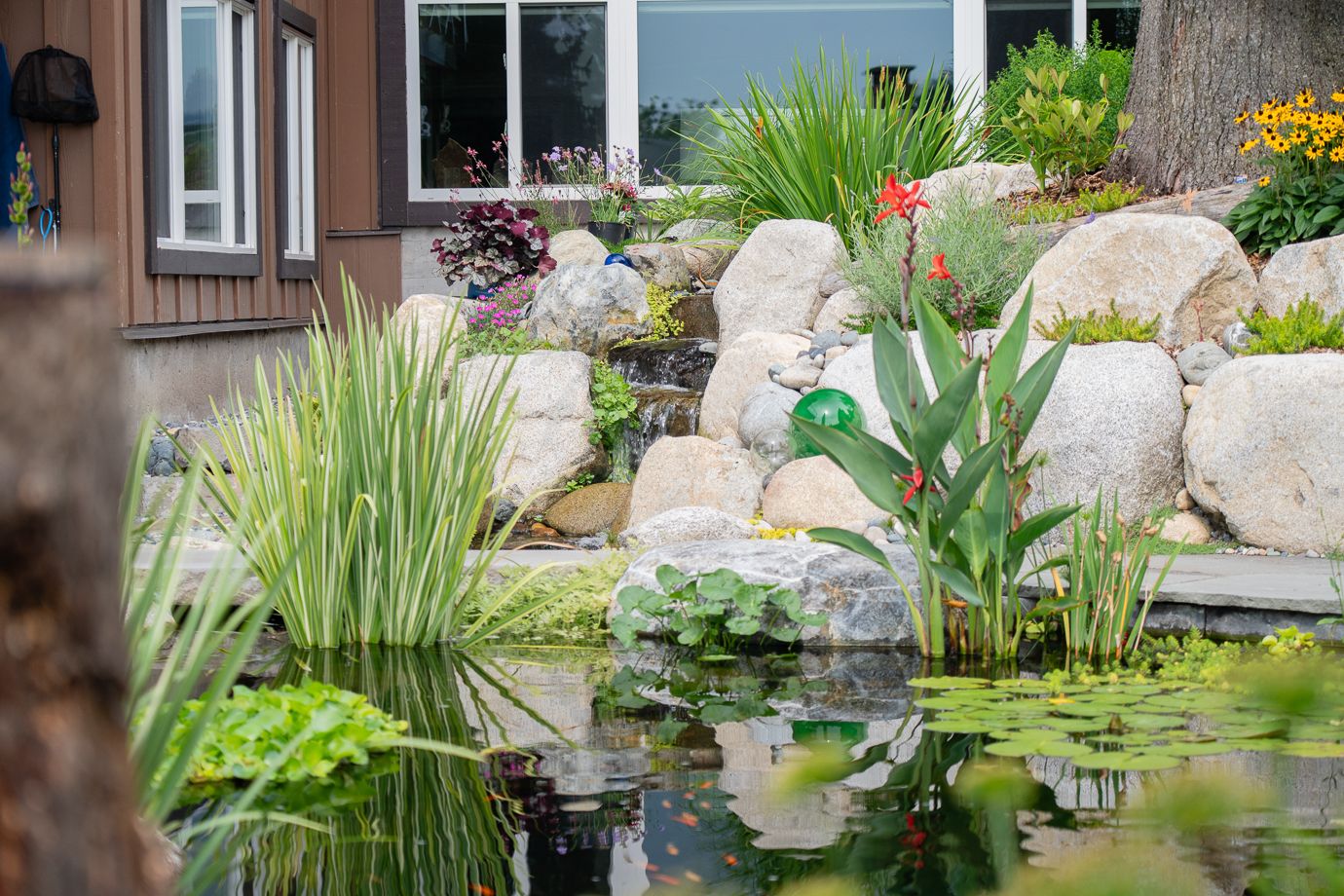 Dollarton Koi Pond — photo 8