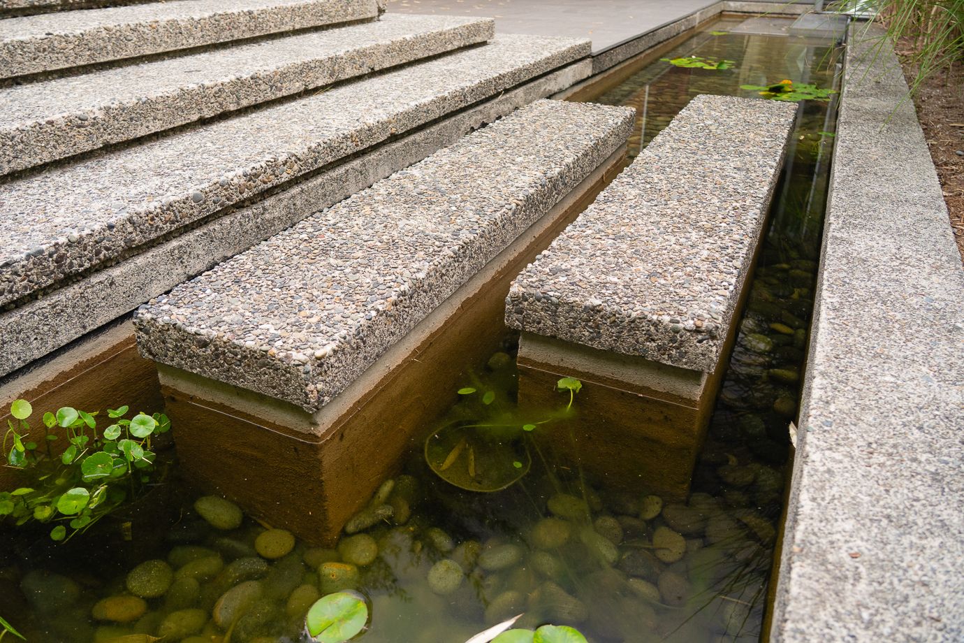 Coast Modern Pond — photo 4