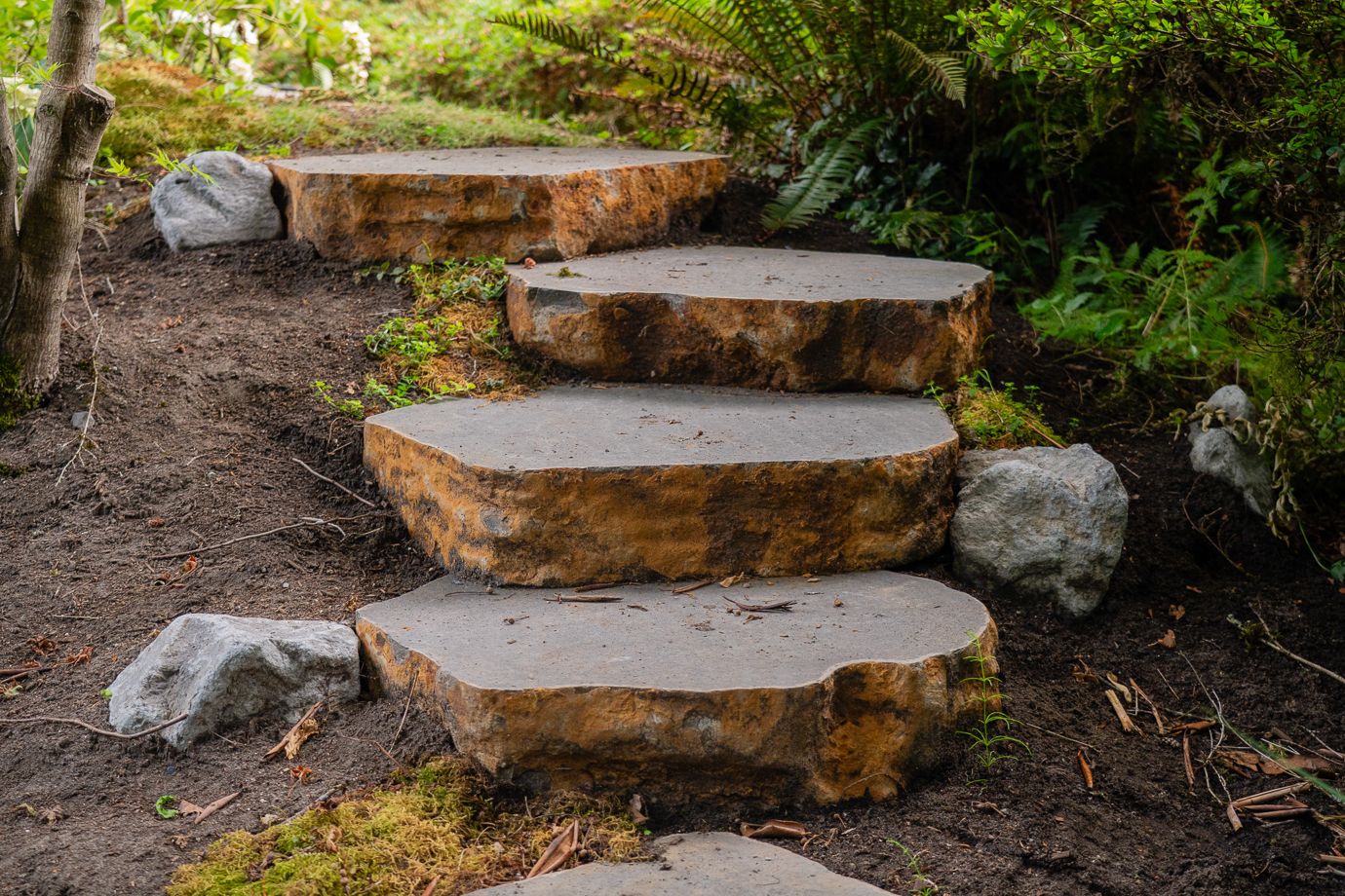 Coast Modern Pond — photo 15