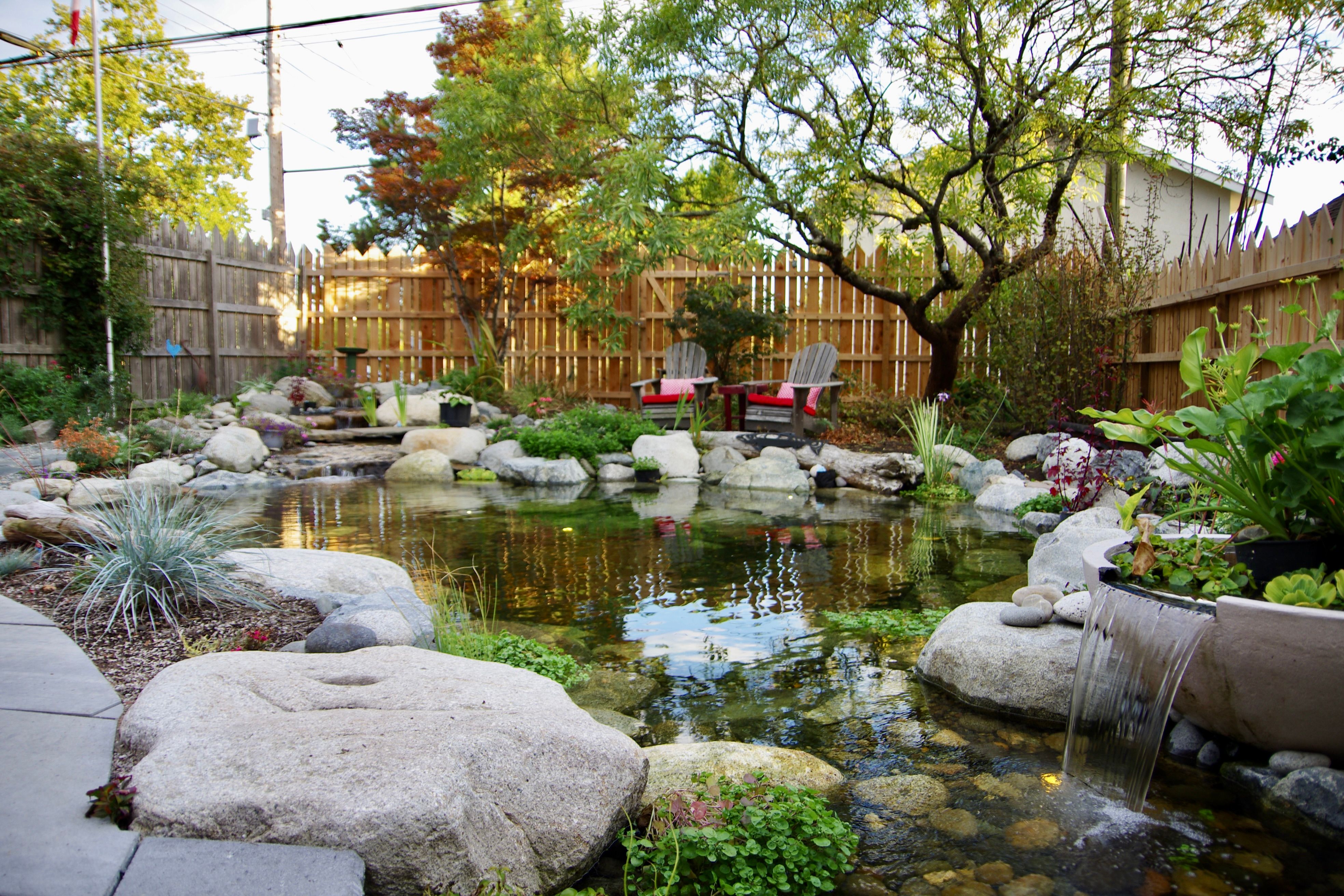 North Vancouver Natural Pool — photo 3