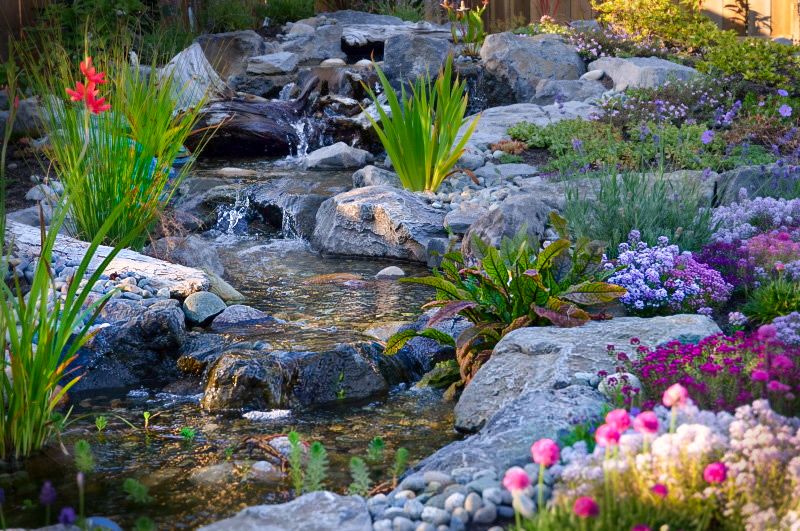 Streamworks Designs Pond Installation Reviews