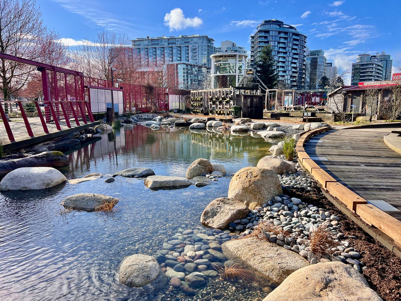 Science World Wetland — photo 2