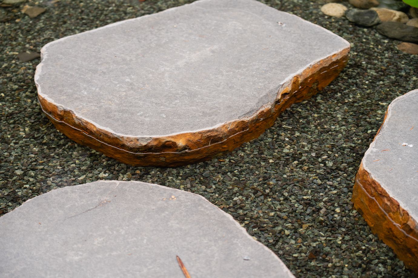 Coast Modern Pond — photo 5