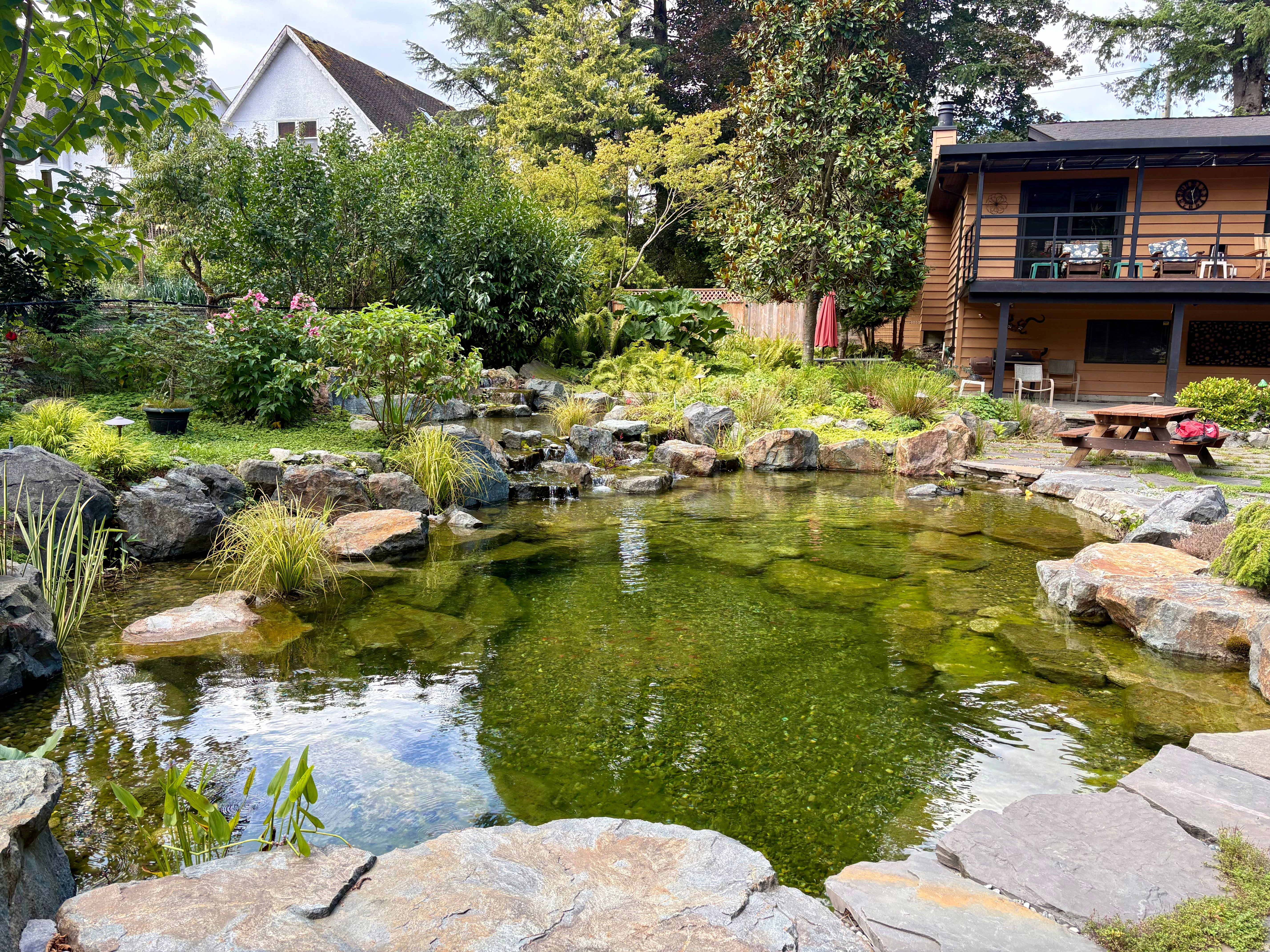 Surrey Heights Recreation Swim Pond — photo 2