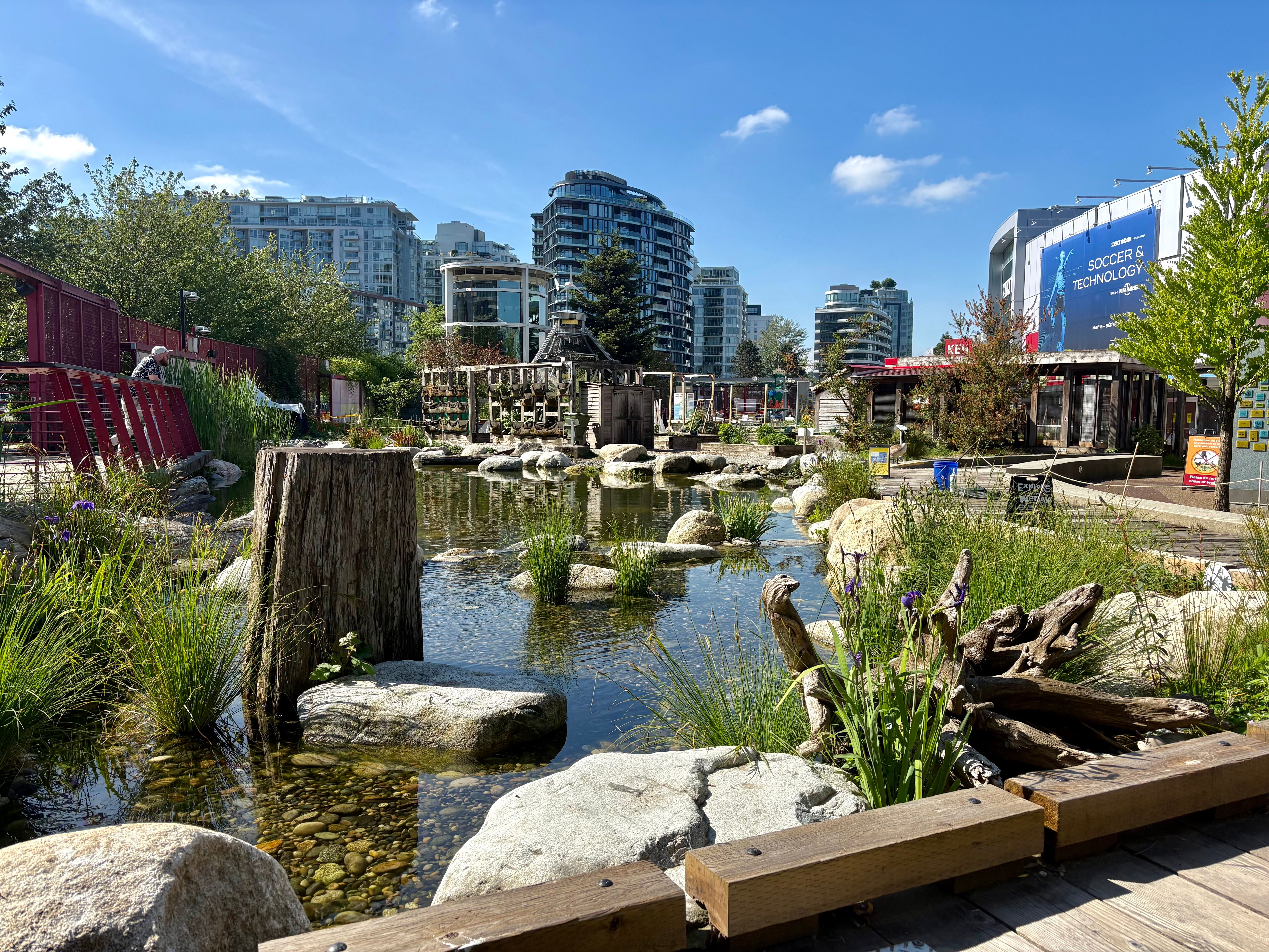 Science World Wetland