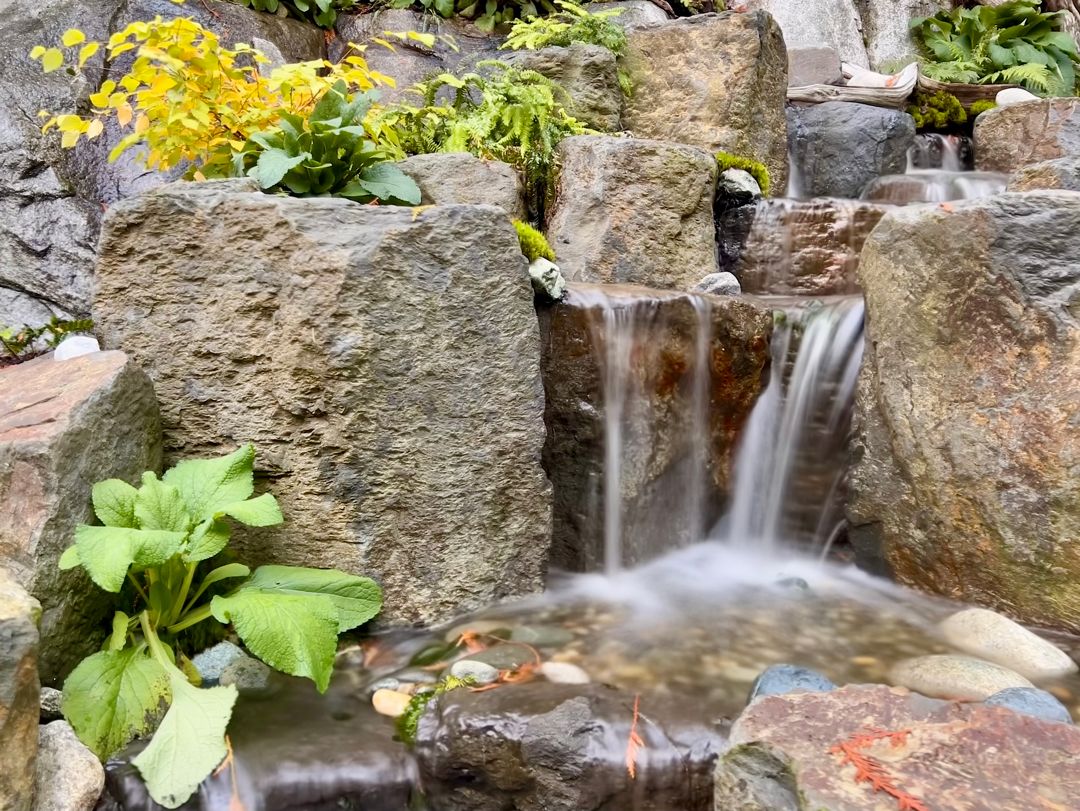 Waterfalls & Streams