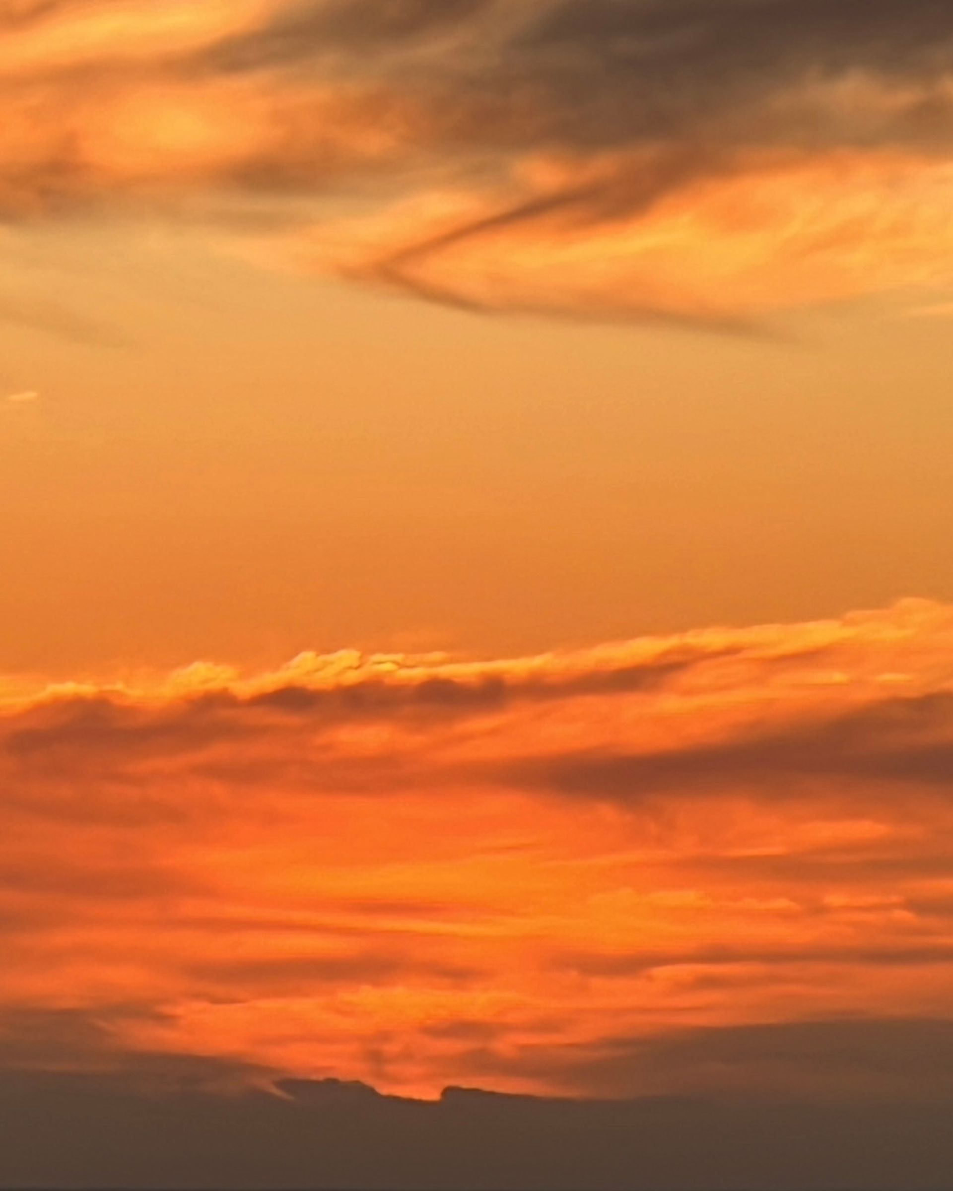 Bella Thomas for Dr. Barbara Sturm