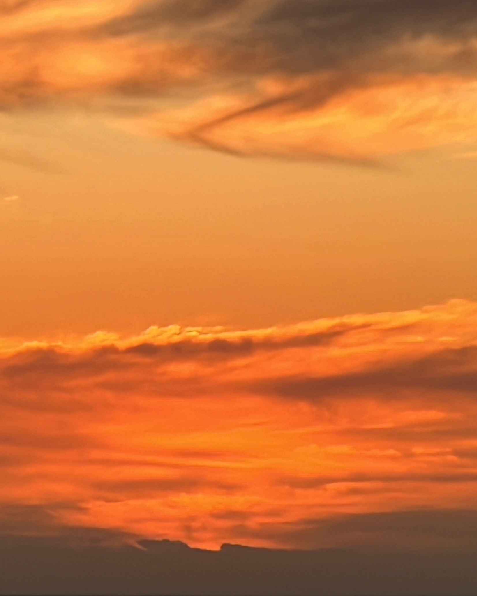 Bella Thomas for Dr. Barbara Sturm