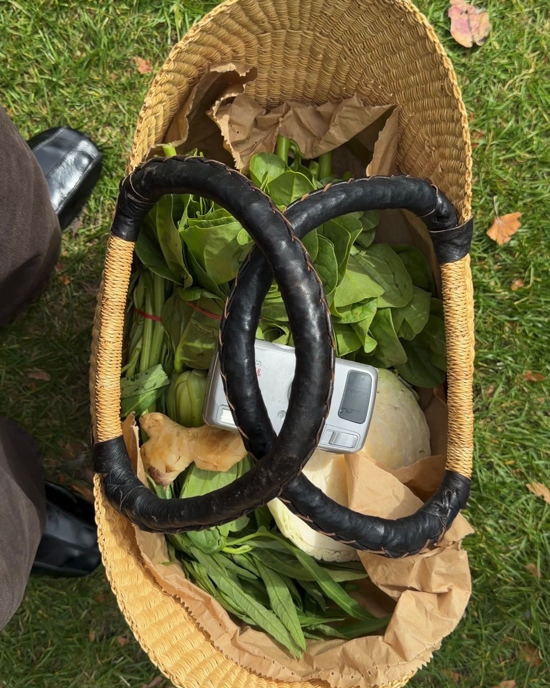 Bella Thomas for Dr. Barbara Sturm