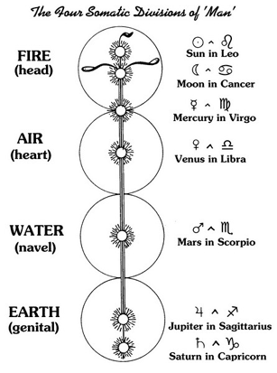 The Four Somatic Divisions of 'Man'
