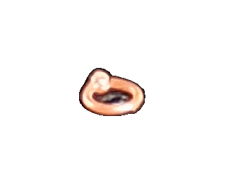 A toy