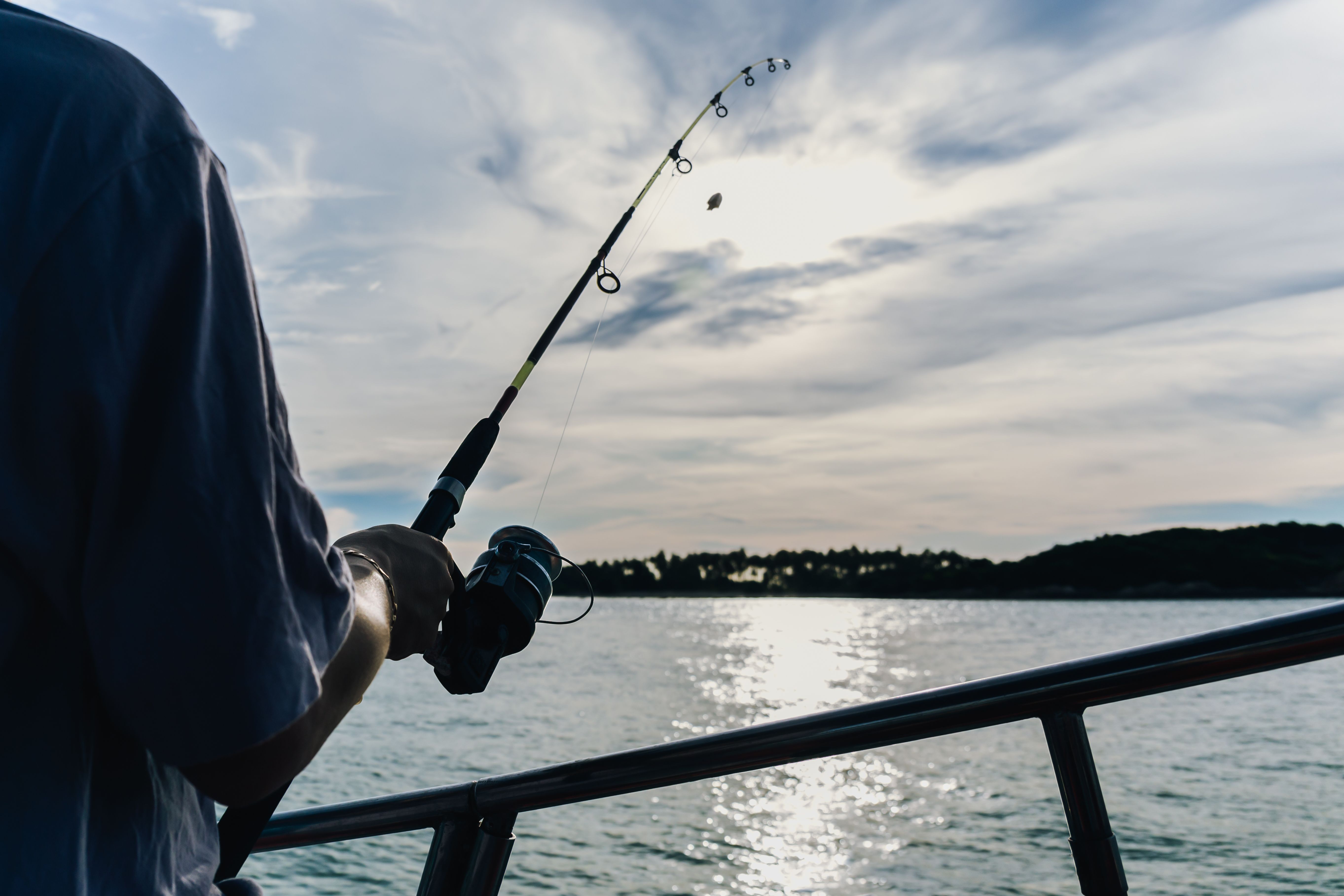 Person holding a fishing rod on a boat with a calm sea and a cloudy sky in the background